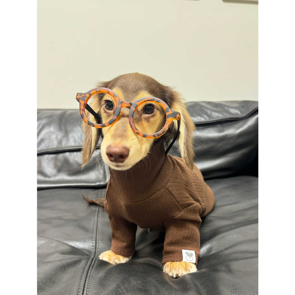 {{product_title}} - Cookies Wagging Friends Boutique
