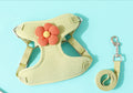 {{product_title}} - Cookies Wagging Friends Boutique