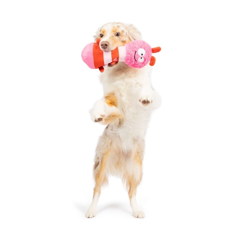 {{product_title}} - Cookies Wagging Friends Boutique