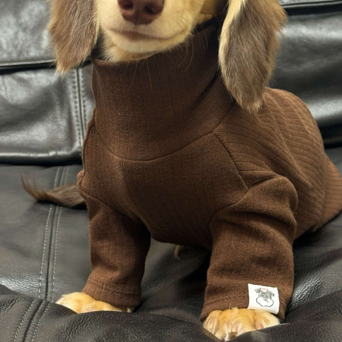 {{product_title}} - Cookies Wagging Friends Boutique