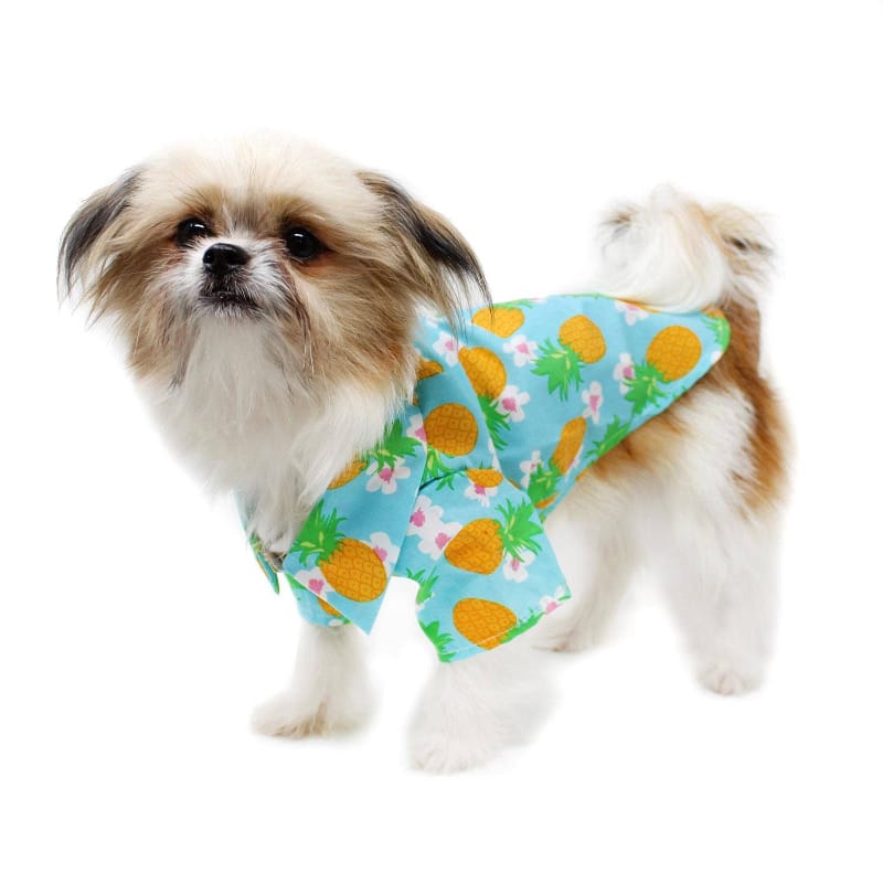 {{product_title}} - Cookies Wagging Friends Boutique