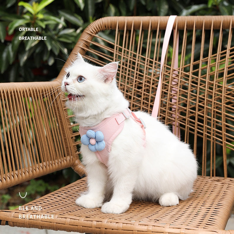 {{product_title}} - Cookies Wagging Friends Boutique