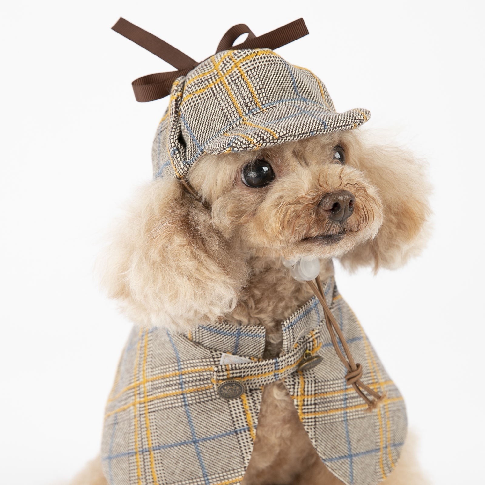 Plaid pet dog detective costume: matching hat and cloak with bow, yellow and blue lines