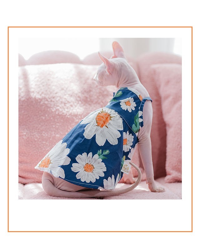 {{product_title}} - Cookies Wagging Friends Boutique