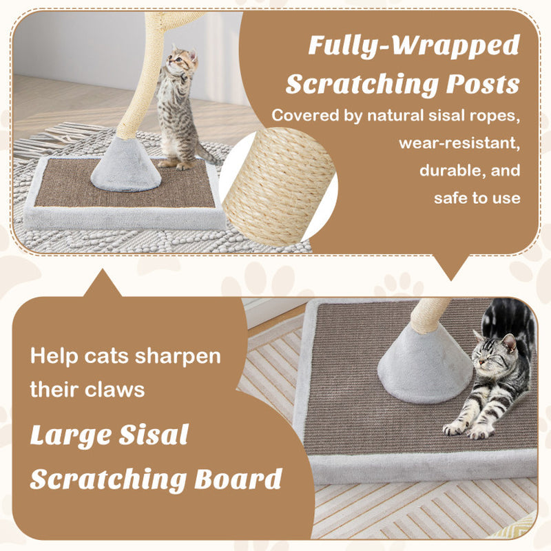 {{product_title}} - Cookies Wagging Friends Boutique