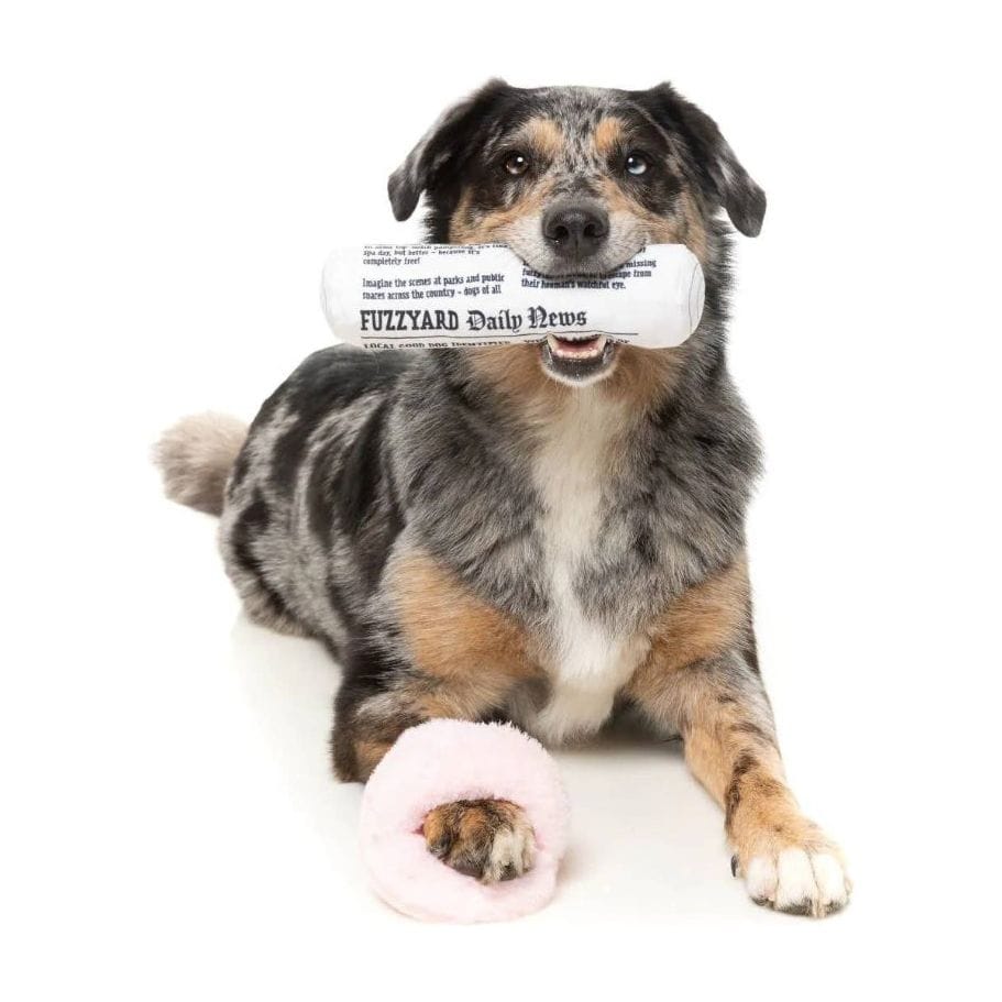 {{product_title}} - Cookies Wagging Friends Boutique