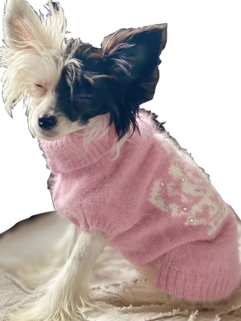{{product_title}} - Cookies Wagging Friends Boutique