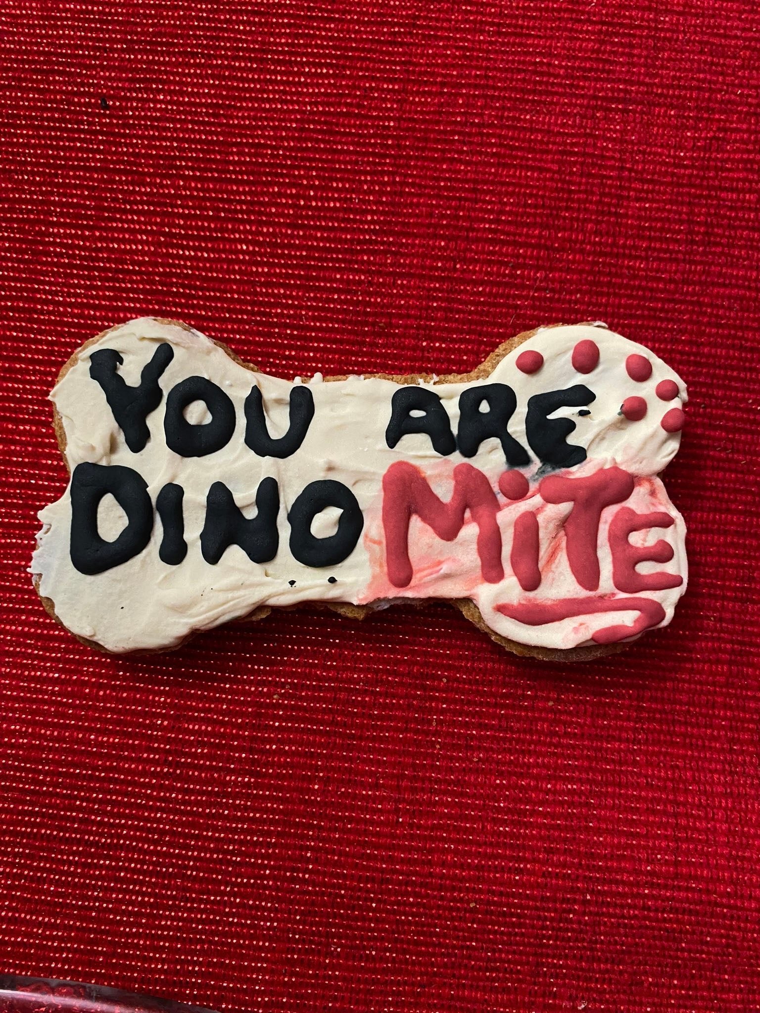 Bone-shaped dinosaur dog cookie reading “You Are Dino-Mite” in black and red
