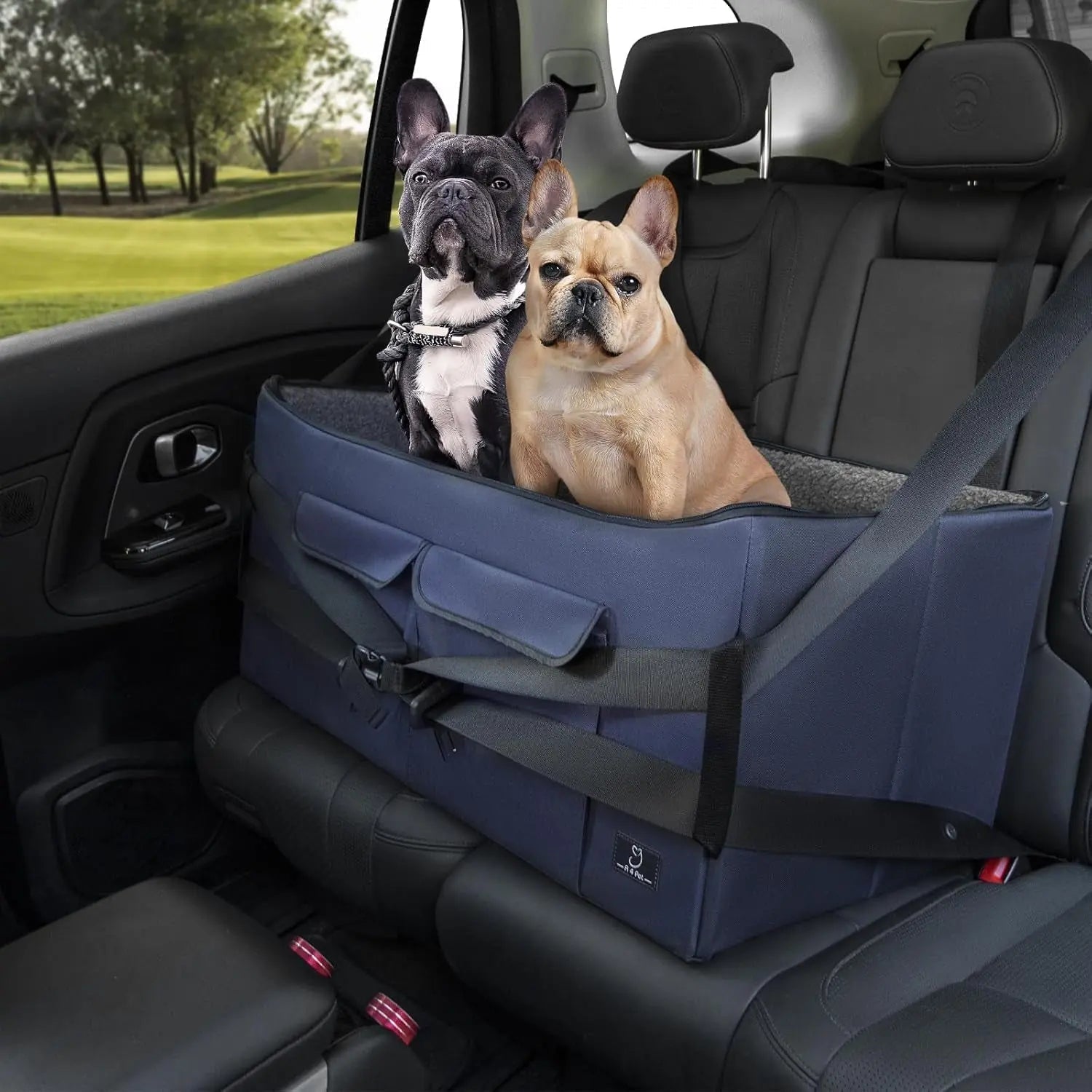 Blue dog car seat booster with padded sides and adjustable safety straps