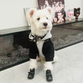 Black hooded dog sweatshirt with gray faux vest, front view with zipper and collar stars
