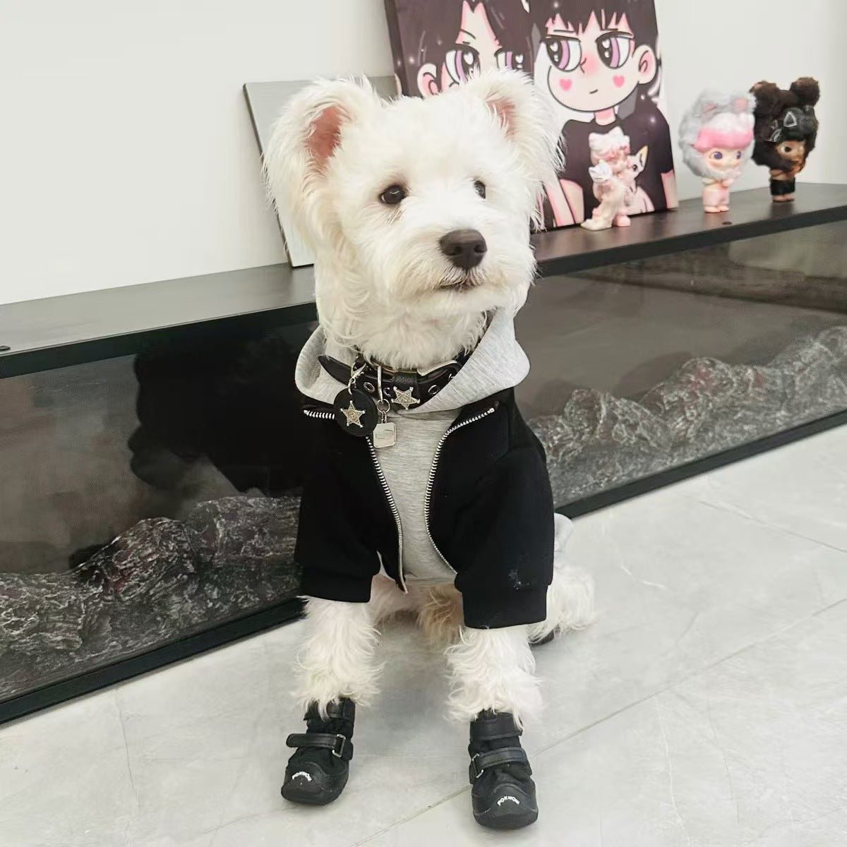 Black hooded dog sweatshirt with gray faux vest, front view with zipper and collar stars