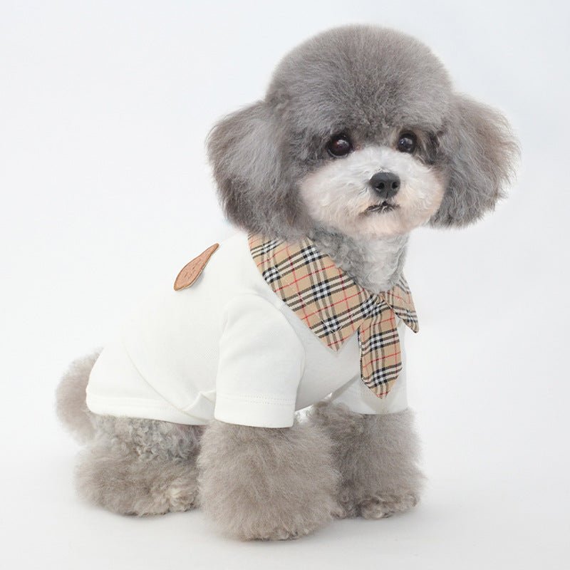 Small dog white short-sleeve shirt with plaid collar and tan patch on chest