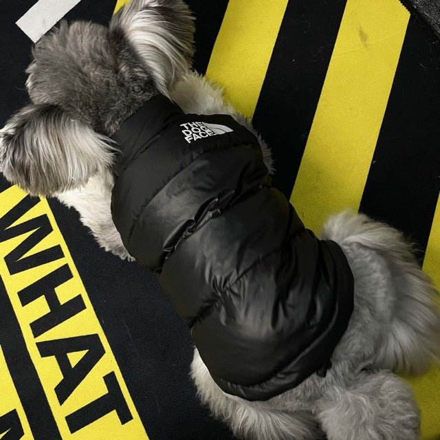 Black dog puffer vest worn on a small dog, THE DOG FACE logo at the chest.