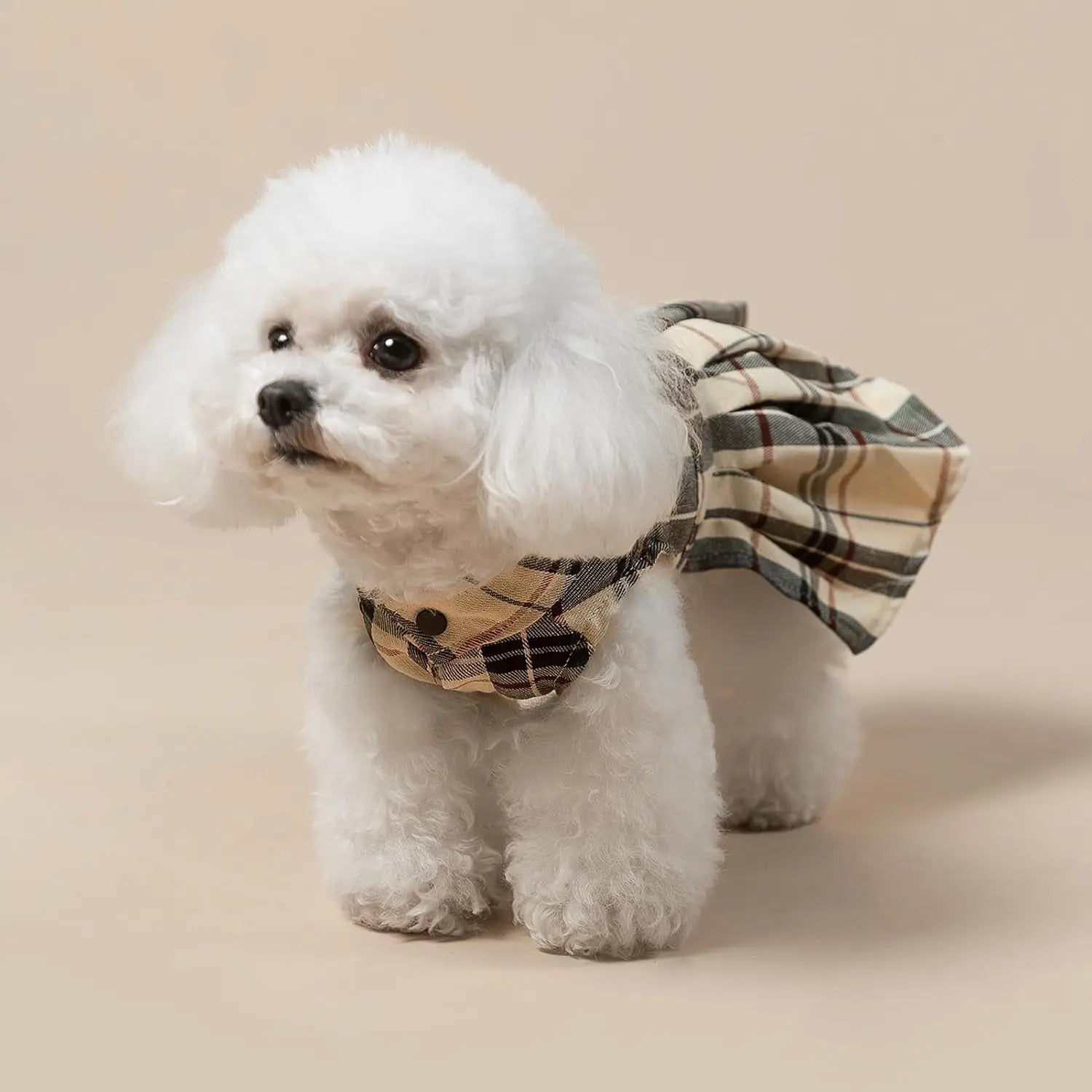 Small dog wearing beige plaid cotton dress with black bow at the chest