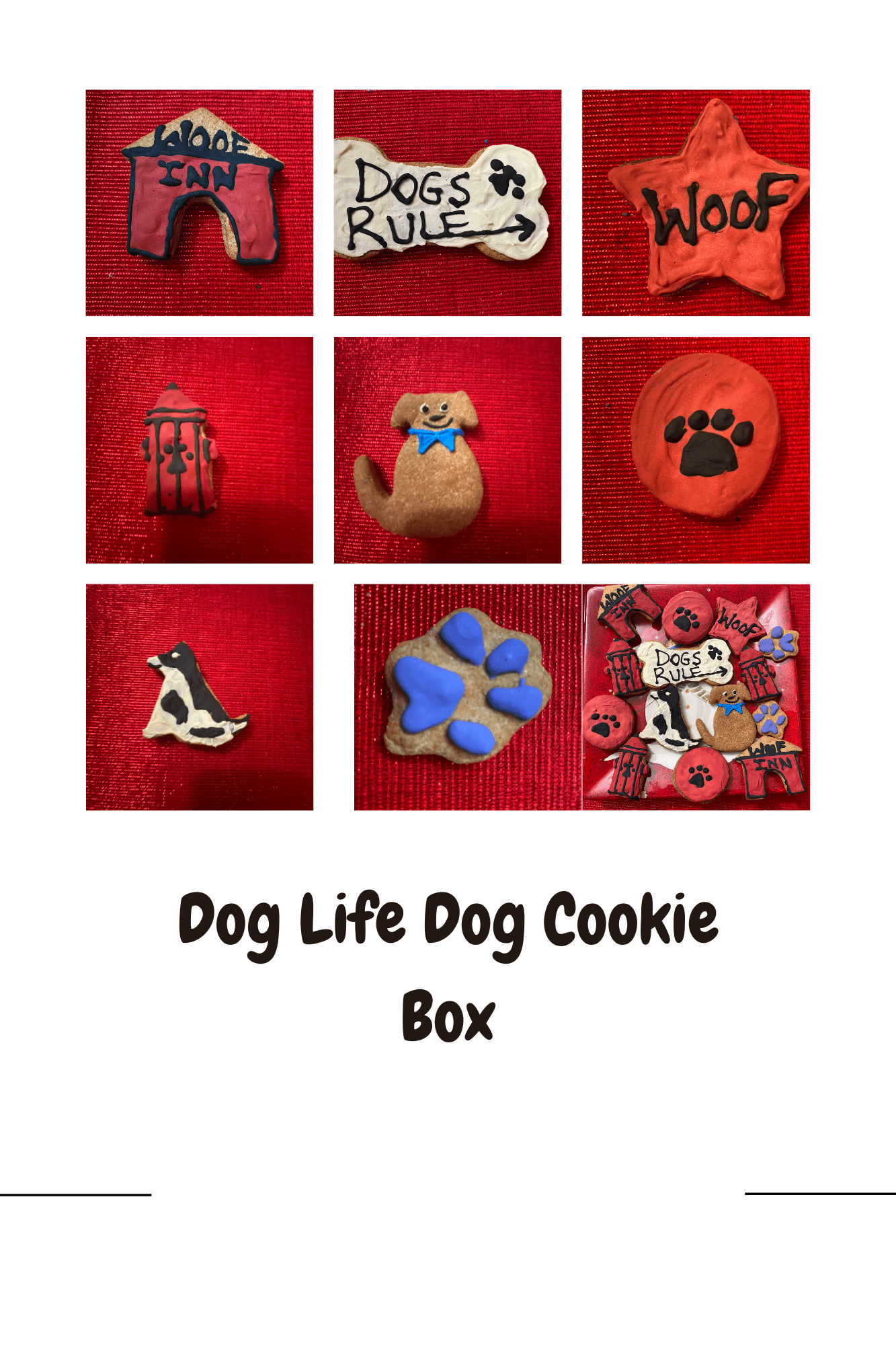 Dog Life dog cookie box with multiple shaped dog cookies and icons on a red tray