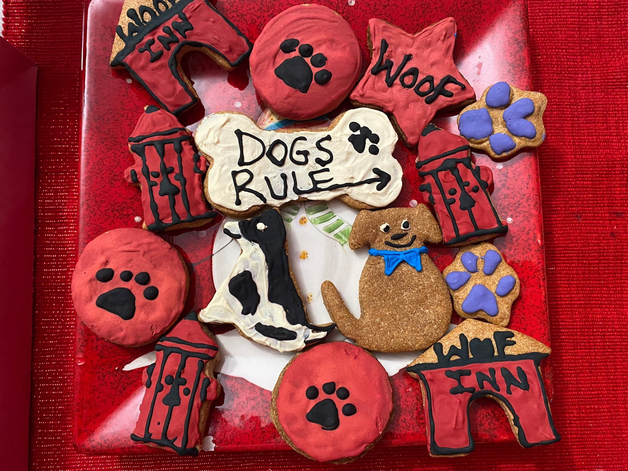 Assorted dog-shaped cookies in a box, with paw prints, “Woof,” and bone designs