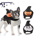 Dog pumpkin rider costume with black hood and orange jack-o-lantern pumpkin face