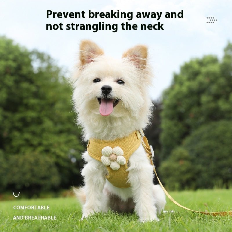 Yellow chest-strap harness for small dogs, with rope leash and white flower patch