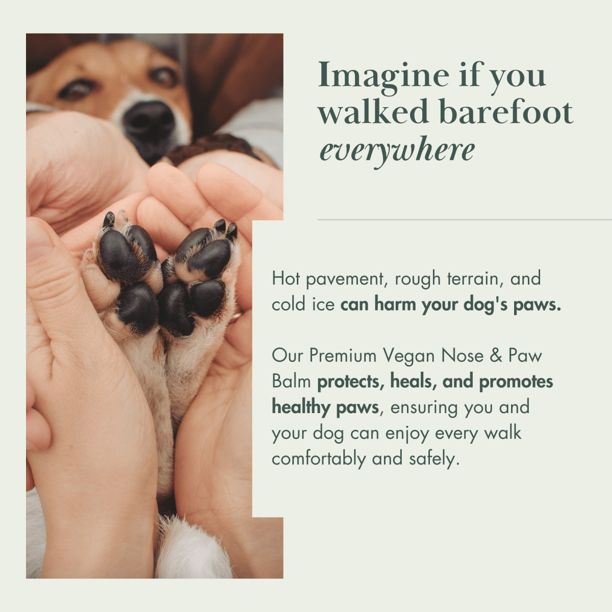 {{product_title}} - Cookies Wagging Friends Boutique