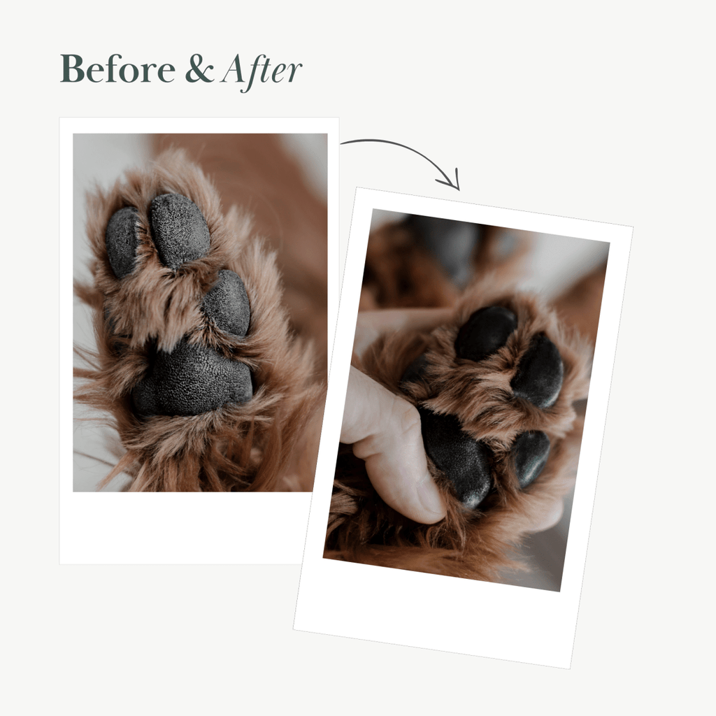 {{product_title}} - Cookies Wagging Friends Boutique
