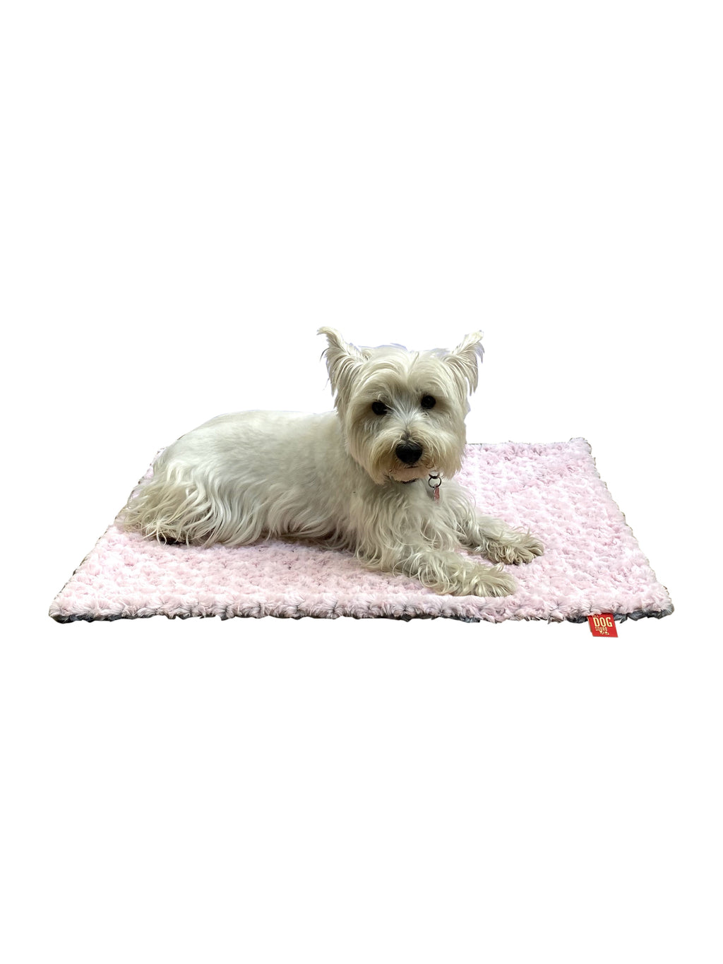 {{product_title}} - Cookies Wagging Friends Boutique