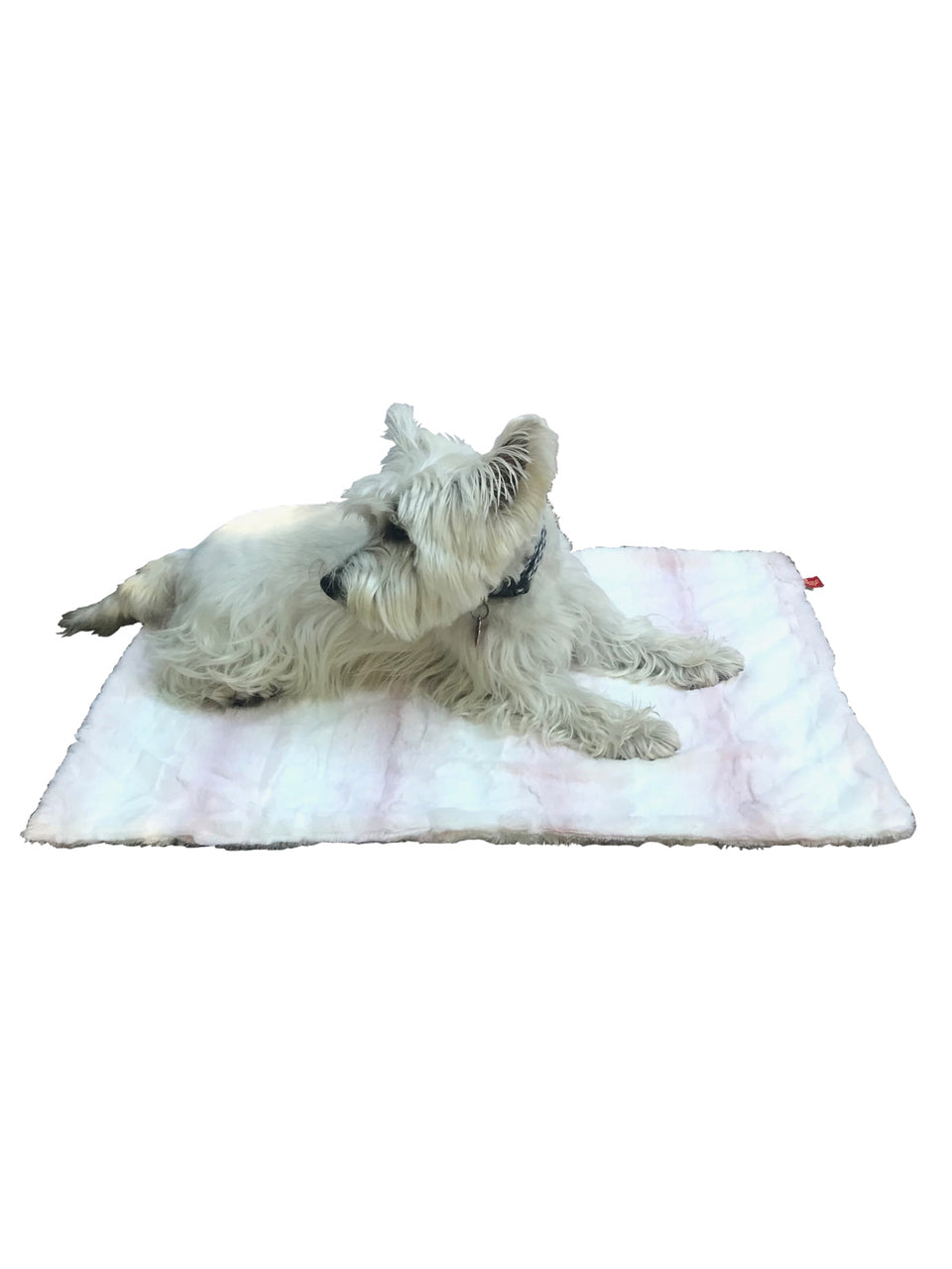 {{product_title}} - Cookies Wagging Friends Boutique