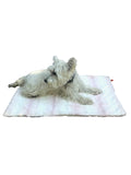 {{product_title}} - Cookies Wagging Friends Boutique