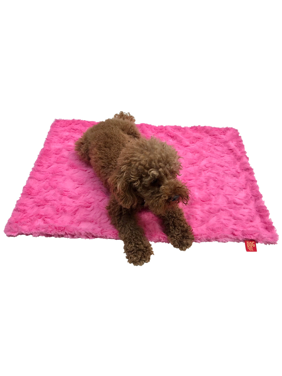 {{product_title}} - Cookies Wagging Friends Boutique