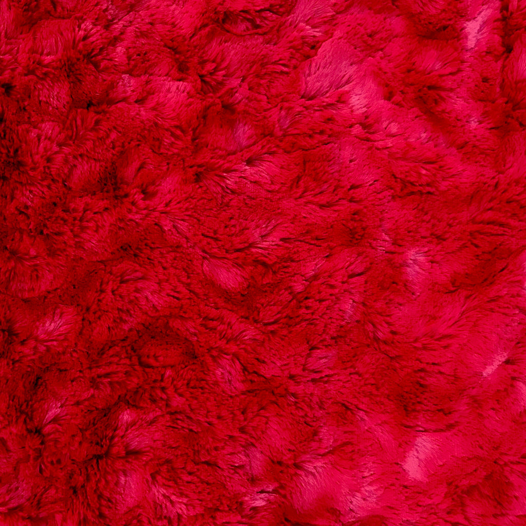 {{product_title}} - Cookies Wagging Friends Boutique