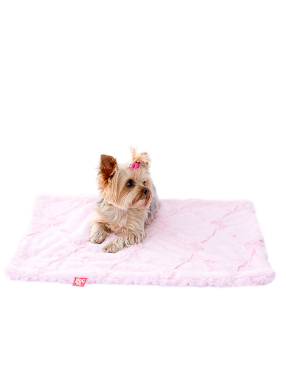 {{product_title}} - Cookies Wagging Friends Boutique