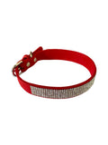 {{product_title}} - Cookies Wagging Friends Boutique
