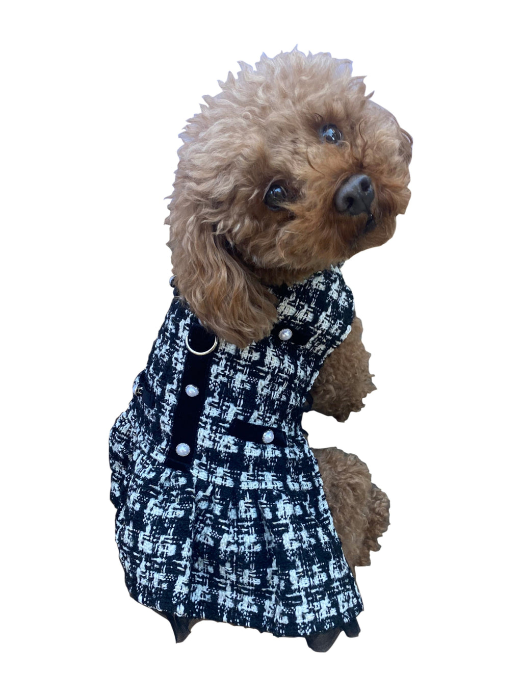 {{product_title}} - Cookies Wagging Friends Boutique