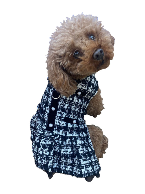 {{product_title}} - Cookies Wagging Friends Boutique