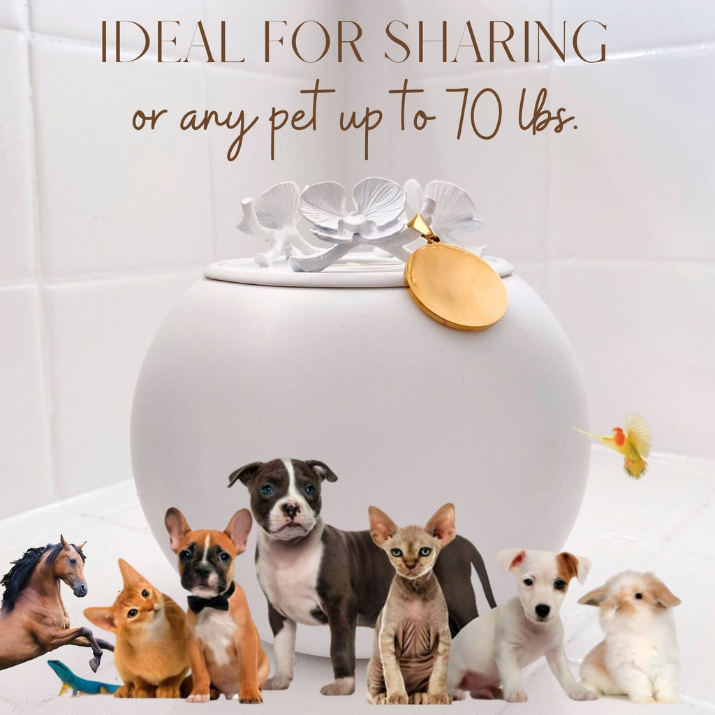 {{product_title}} - Cookies Wagging Friends Boutique