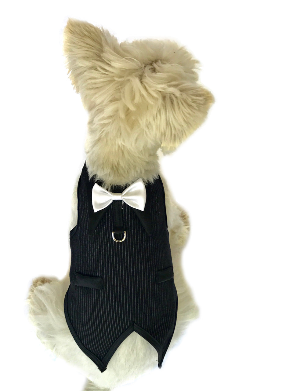 {{product_title}} - Cookies Wagging Friends Boutique