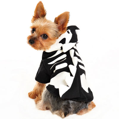 {{product_title}} - Cookies Wagging Friends Boutique