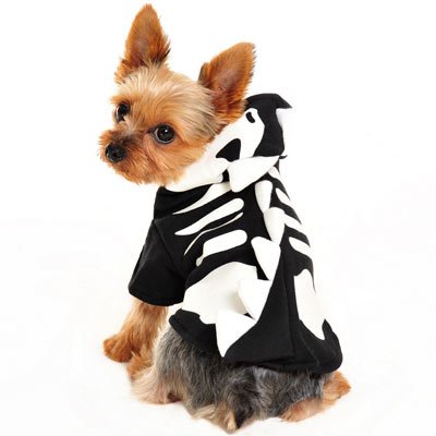 Black hoodie sweatshirt with white skull and ribcage print, worn by a standing dog