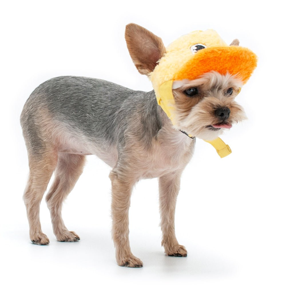 Duck baseball hat with yellow and orange plush duck face, worn on a small dog