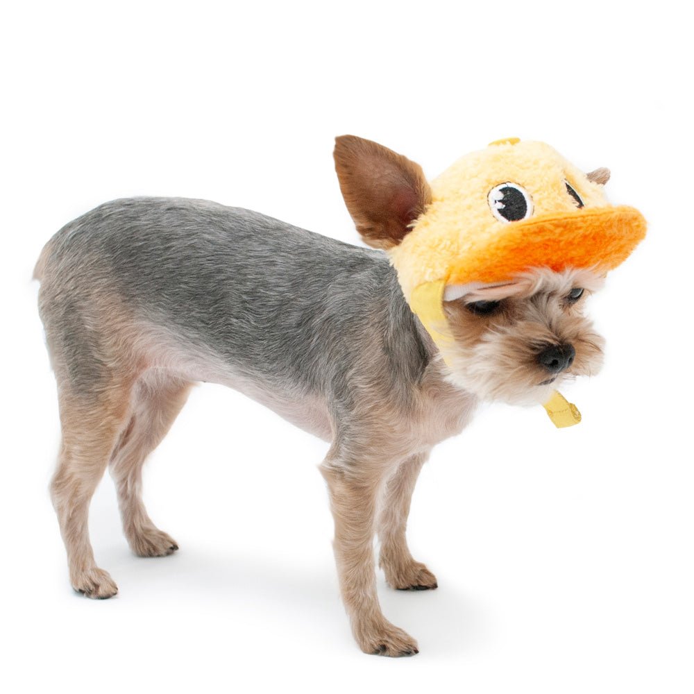 Yellow and orange plush duck baseball hat on dog, side view with duck-face front