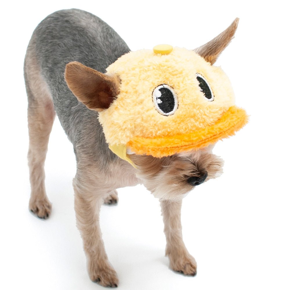 Duck baseball hat in yellow and orange on dog, front view with plush eyes and bill