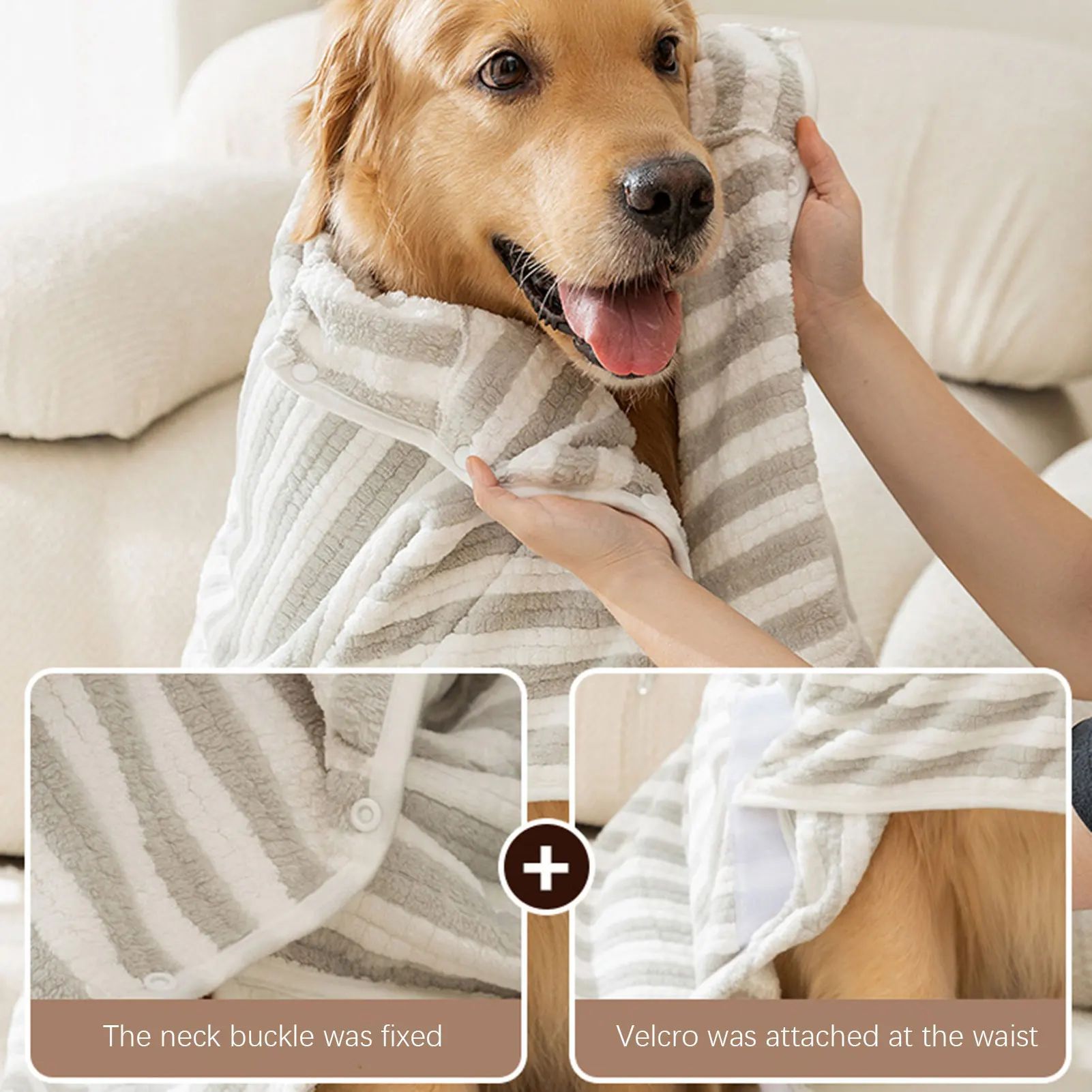 {{product_title}} - Cookies Wagging Friends Boutique
