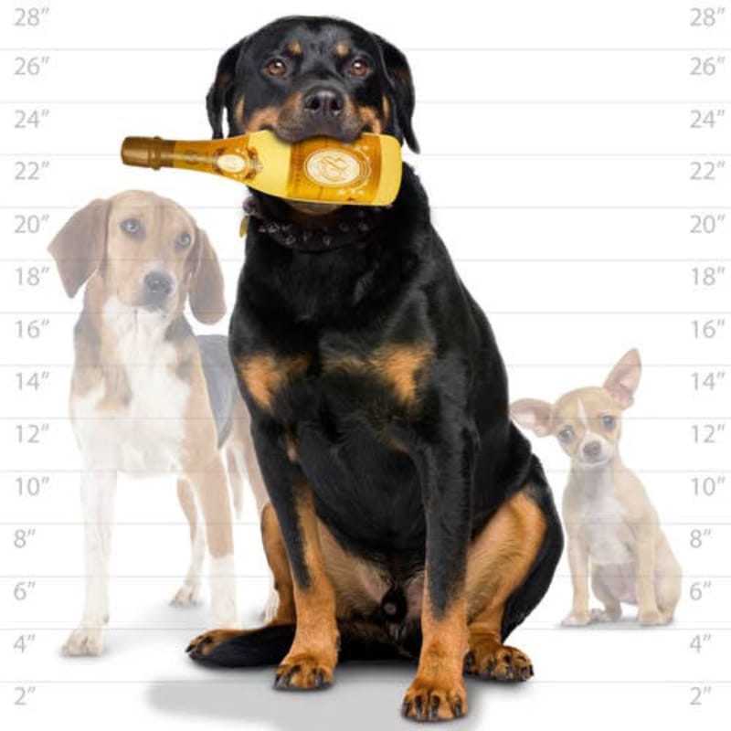 {{product_title}} - Cookies Wagging Friends Boutique