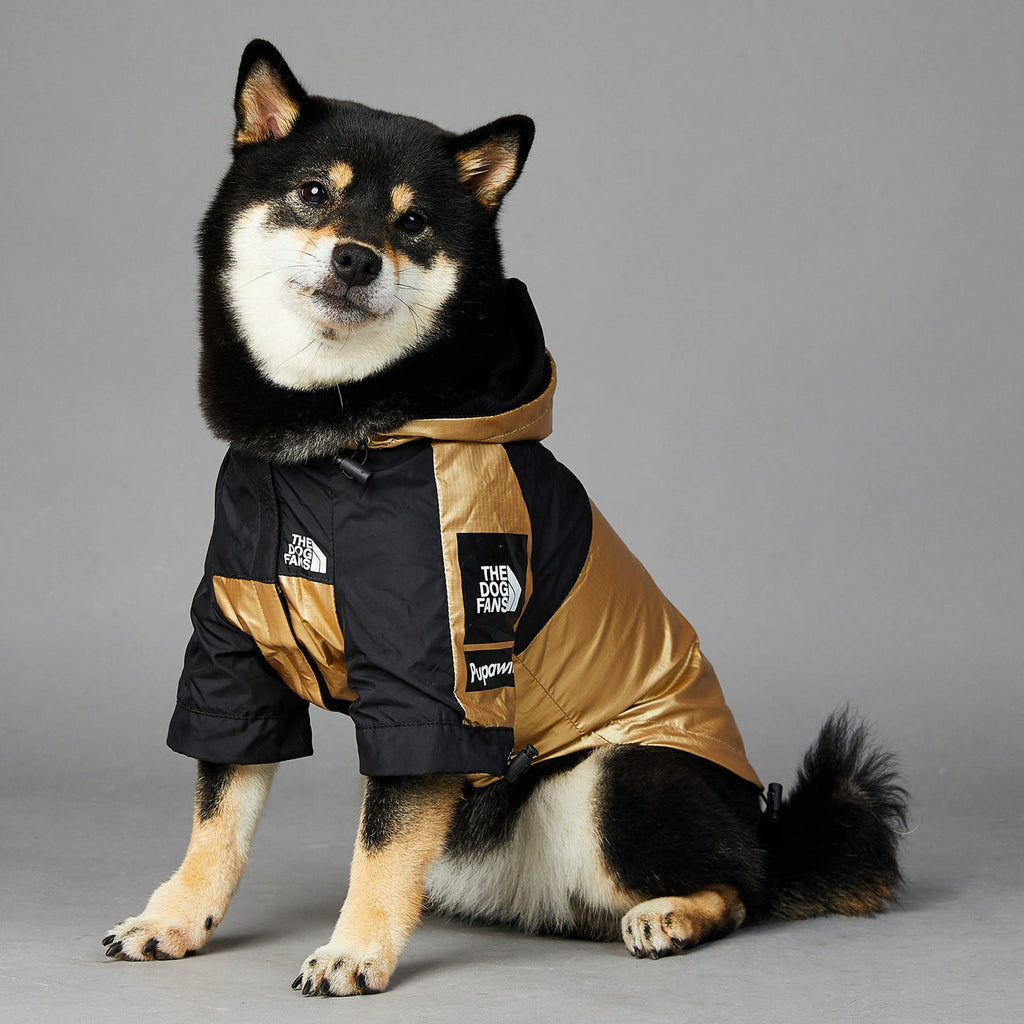 {{product_title}} - Cookies Wagging Friends Boutique