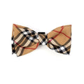 {{product_title}} - Cookies Wagging Friends Boutique