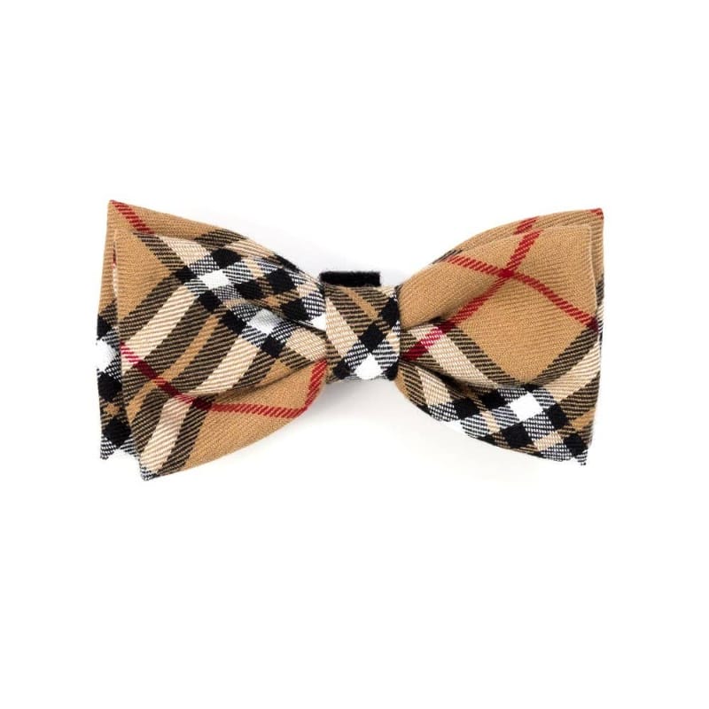 {{product_title}} - Cookies Wagging Friends Boutique