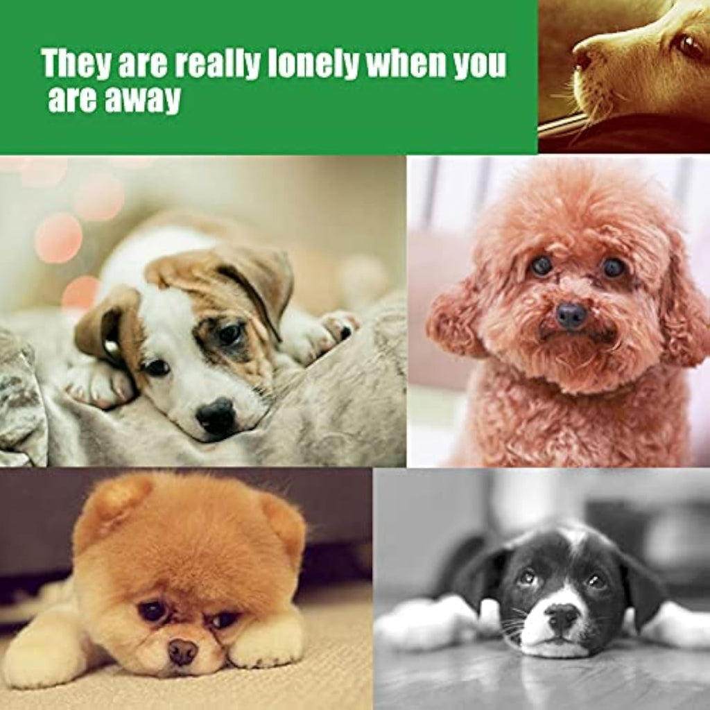 {{product_title}} - Cookies Wagging Friends Boutique