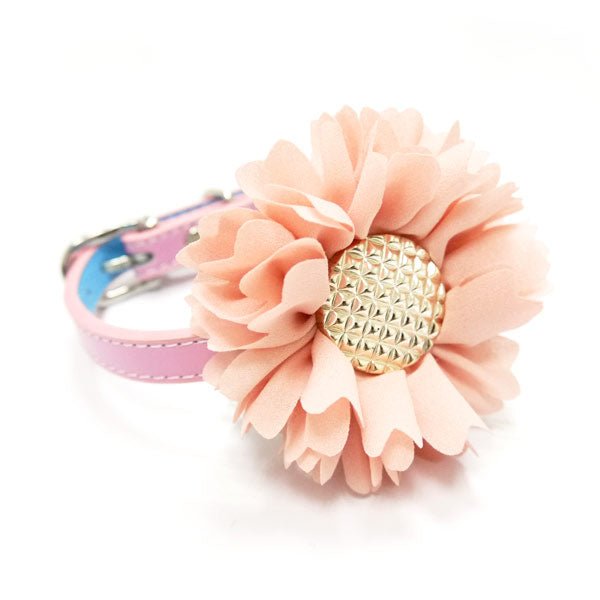 Peach fabric flower rosette with gold rhinestone center on pink collar strap.