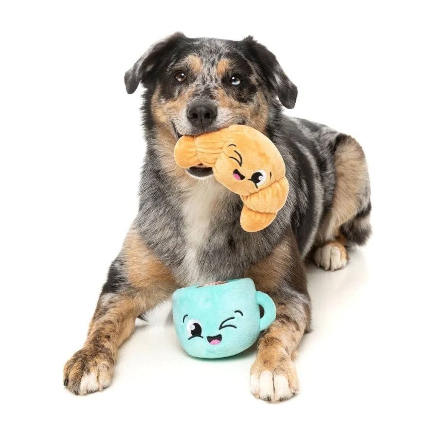 {{product_title}} - Cookies Wagging Friends Boutique