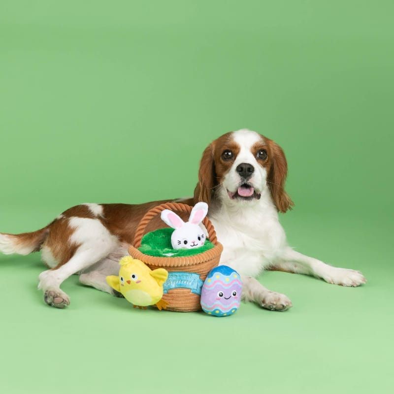 {{product_title}} - Cookies Wagging Friends Boutique