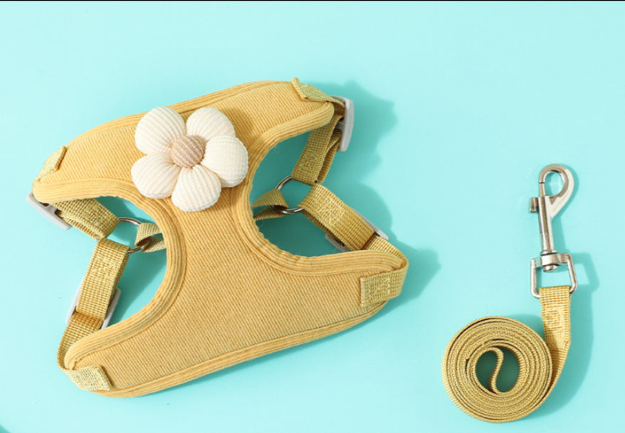 {{product_title}} - Cookies Wagging Friends Boutique